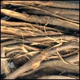 Picture of walnut bark.